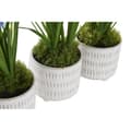 Miniatyrbilde 3 av 3: Dekorativ Plante DKD Home Decor Skum Blå Rosa Gul polypropylen 15 x 15 x 30 cm (3 Deler)