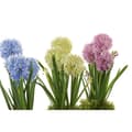 Miniatyrbilde 2 av 3: Dekorativ Plante DKD Home Decor Skum Blå Rosa Gul polypropylen 15 x 15 x 30 cm (3 Deler)