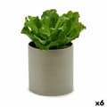 Miniatyrbilde 1 av 3: Dekorativ Plante Ibergarden YC181588 20 x 25 x 20 cm (6 enheter)