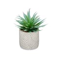 Miniatyrbilde 2 av 3: Dekorativ Plante Ibergarden QY-H012 Tre Plast Sement Saftige 17 x 21 x 17 cm (8 enheter)
