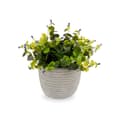 Miniatyrbilde 2 av 3: Dekorativ Plante Ibergarden QY-H022 Plast Kukat 21 x 20,6 x 21 cm (8 enheter)