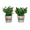 Miniatyrbilde 3 av 3: Dekorativ Plante Ibergarden XD16-710 Plast 16 x 22 x 16 cm (12 enheter)