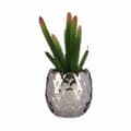 Miniatyrbilde 2 av 2: Dekorativ Plante Ibergarden HY2-44 Keramikk Plast Kaktus 10 x 20 x 10 cm (6 enheter)