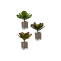 Miniatyrbilde 3 av 3: Dekorativ Plante Ibergarden YD0001 Plast Ark Stor 27 x 29 x 27 cm Flerfarget (6 enheter)