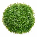 Miniatyrbilde 2 av 2: Dekorativ Plante Ibergarden 551 Plast Ark Pallo 22 x 22 x 22 cm (8 enheter)