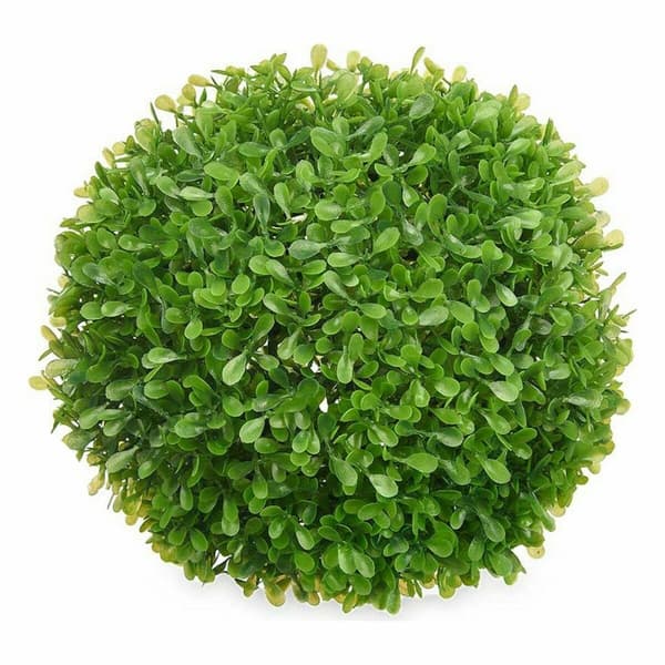 Dekorativ Plante Ibergarden 551 Plast Ark Pallo 22 x 22 x 22 cm (8 enheter)