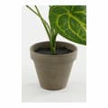 Miniatyrbilde 4 av 5: Dekorativ Plante Mica Decorations Caladium Ø 21 x 28 cm Kunstig