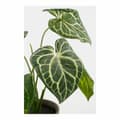 Miniatyrbilde 2 av 5: Dekorativ Plante Mica Decorations Caladium Ø 21 x 28 cm Kunstig