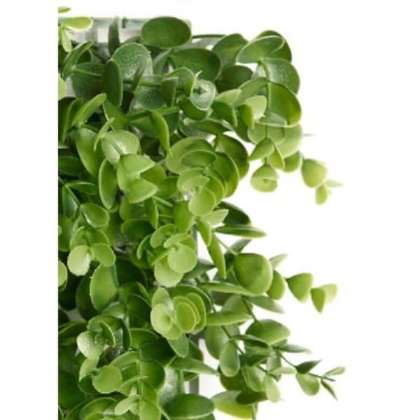 Vertikalt hage Ibergarden Grønn Plast Ark 50 x 50 cm