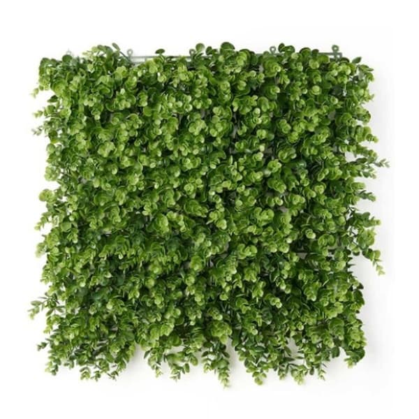Vertikalt hage Ibergarden Grønn Plast Ark 50 x 50 cm