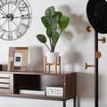 Miniatyrbilde 2 av 2: Dekorativ Plante Versa