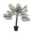 Miniatyrbilde 1 av 2: Dekorativ Plante Versa Plast