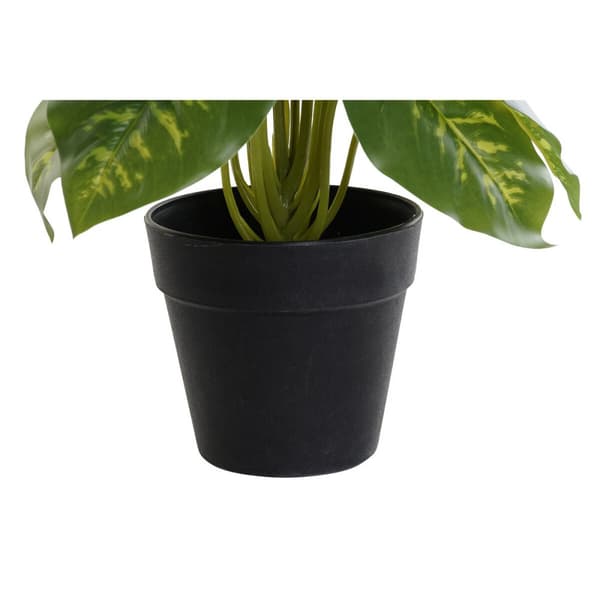 Koristekasvi DKD Home Decor PVC polypropeeni 20 x 20 x 30 cm