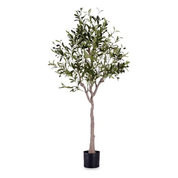 Koristekasvi Ibergarden BRS-ADK102 Muovinen Rautalanka Oliivipuu 73 x 120 x 73 cm