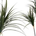 Miniatyrbilde 2 av 2: Dekorativ Plante Ibergarden BRS-ADE175 Plast Jernkabel Smalt blad 80 x 140 x 85 cm