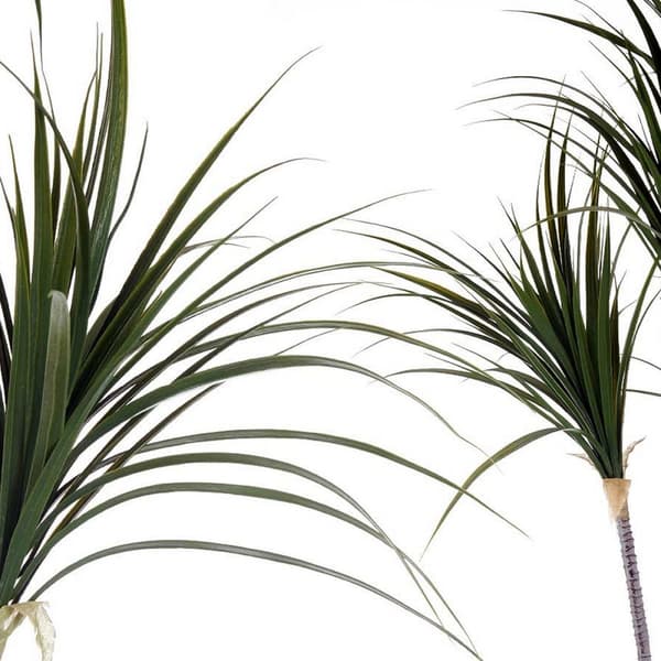 Dekorativ Plante Ibergarden BRS-ADE175 Plast Jernkabel Smalt blad 80 x 140 x 85 cm