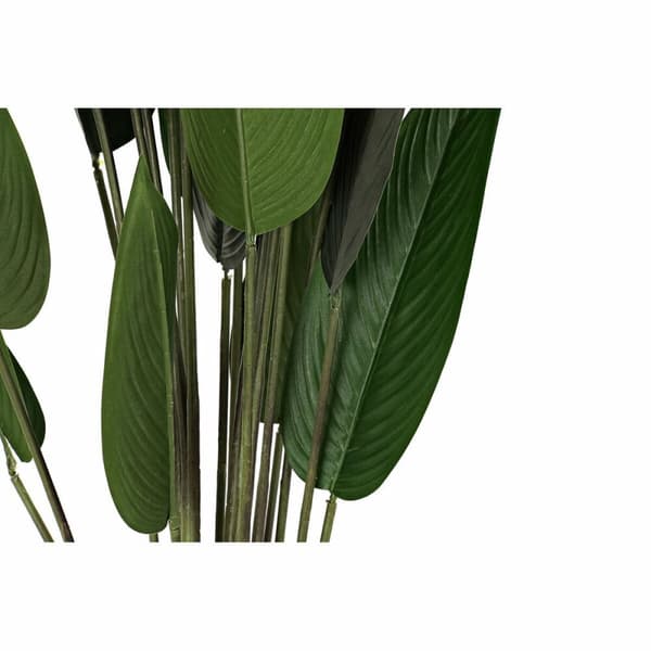 Dekorativ plante DKD Home Decor 50 x 50 x 160 cm Polyetylen Grøn Paradisets fugl Urban