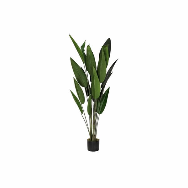 Dekorativ plante DKD Home Decor 50 x 50 x 160 cm Polyetylen Grøn Paradisets fugl Urban