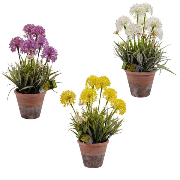 Dekorativ plante Ibergarden 20801 Kork Keramik Plastik 24 x 43 x 24 cm (8 enheder)