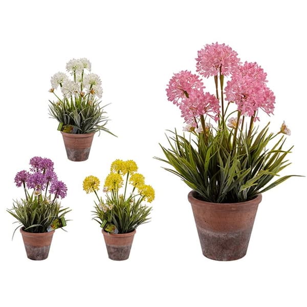Dekorativ plante Ibergarden 20801 Kork Keramik Plastik 24 x 43 x 24 cm (8 enheder)