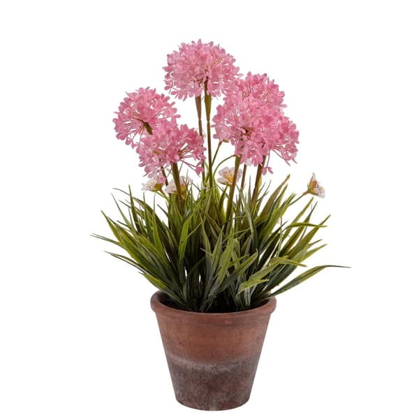 Dekorativ plante Ibergarden 20801 Kork Keramik Plastik 24 x 43 x 24 cm (8 enheder)