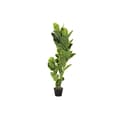 Miniatyrbilde 1 av 3: Dekorativ Plante DKD Home Decor Polyetylen Grønn 40 x 40 x 120 cm Urban