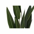 Miniatyrbilde 3 av 3: Dekorativ Plante DKD Home Decor 40 x 40 x 115 cm Polyetylen Grønn Fugl av paradis Urban