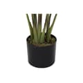 Miniatyrbilde 2 av 3: Dekorativ Plante DKD Home Decor 40 x 40 x 115 cm Polyetylen Grønn Fugl av paradis Urban