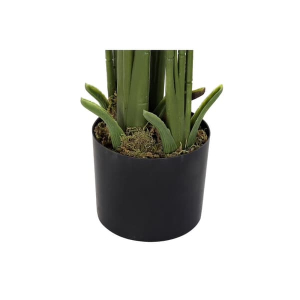 Dekorativ Plante DKD Home Decor Palmer Grønn PE (50 x 50 x 180 cm)
