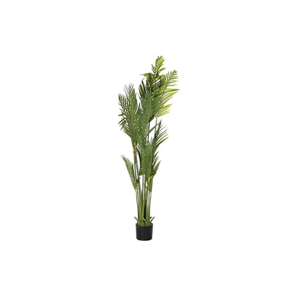 Dekorativ Plante DKD Home Decor Palmer Grønn PE (50 x 50 x 180 cm)
