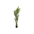 Miniatyrbilde 1 av 3: Dekorativ Plante DKD Home Decor Palmer Grønn PE (50 x 50 x 180 cm)