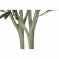 Miniatyrbillede 4 af 4: Træ DKD Home Decor Polyester polypropylen Oliven 80 x 80 x 180 cm (80 x 80 x 180 cm)