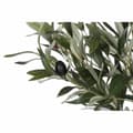 Miniatyrbillede 2 af 4: Træ DKD Home Decor Polyester polypropylen Oliven 80 x 80 x 180 cm (80 x 80 x 180 cm)