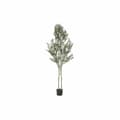 Miniatyrbillede 1 af 4: Træ DKD Home Decor Polyester polypropylen Oliven 80 x 80 x 180 cm (80 x 80 x 180 cm)