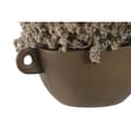 Miniatyrbilde 3 av 3: Dekorativ Plante Home ESPRIT Blomster 22 x 22 x 14 cm (2 enheter)