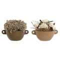 Miniatyrbilde 1 av 3: Dekorativ Plante Home ESPRIT Blomster 22 x 22 x 14 cm (2 enheter)
