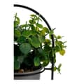 Miniatyrbild 2 av 2: Dekorativ växt Ibergarden QY-H093 Metall Plast 21 x 30 x 21 cm Med stöd Grå