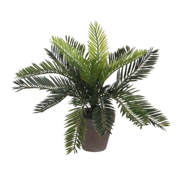 Dekorativ växt Mica Decorations Keramik Palmträd (11,5 x 33 cm)