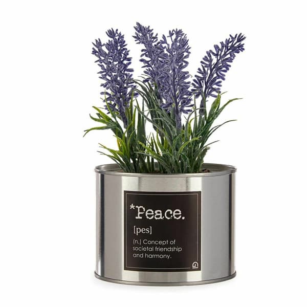 Dekorativ växt Ibergarden Metall Plast Can Lavendel 10 x 18 x 10 cm (6 antal)