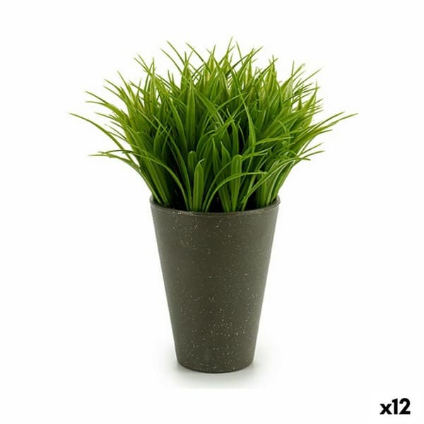 Dekorativ växt Ibergarden S18064 Plast 11 x 18 x 11 cm (12 antal)
