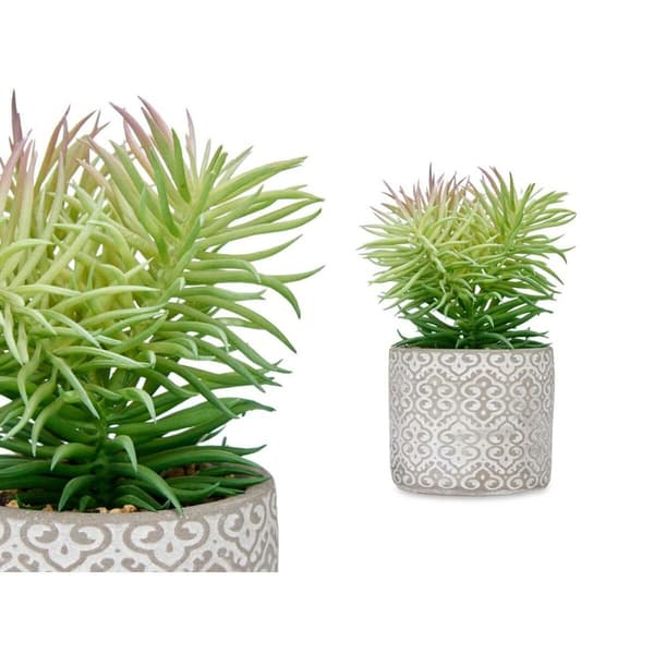 Dekorativ växt Ibergarden QY-H011 Trä Plast Cement Suckulent 12 x 22 x 12 cm (8 antal)