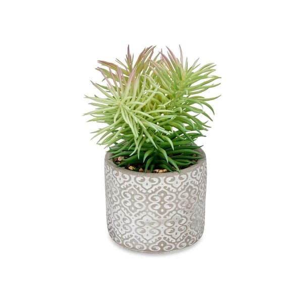 Dekorativ växt Ibergarden QY-H011 Trä Plast Cement Suckulent 12 x 22 x 12 cm (8 antal)