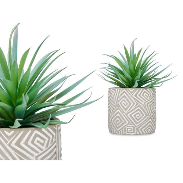 Dekorativ växt Ibergarden QY-H012 Trä Plast Cement Suckulent 17 x 21 x 17 cm (8 antal)