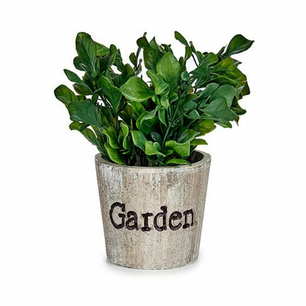 Dekorativ växt Ibergarden XD16-710 Plast 16 x 22 x 16 cm (12 antal)