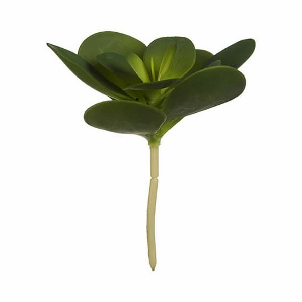 Dekorativ växt Ibergarden YD180205 Plast Blad Rund 18 x 23 x 18 cm (6 antal)