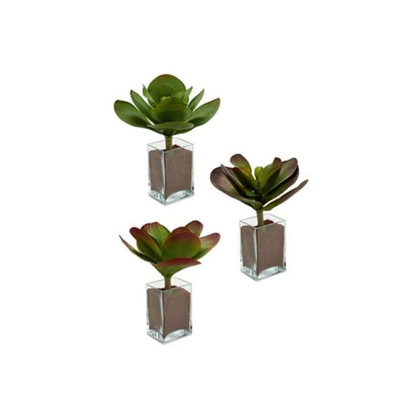 Dekorativ växt Ibergarden YD0001 Plast Blad Stor 27 x 29 x 27 cm Dvobarvna (6 antal)