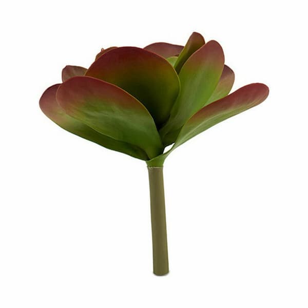 Dekorativ växt Ibergarden YD0001 Plast Blad Stor 27 x 29 x 27 cm Dvobarvna (6 antal)