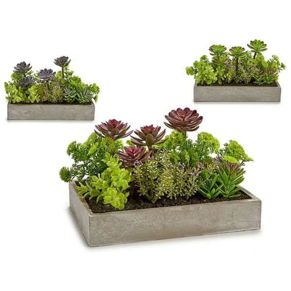 Dekorativ växt Ibergarden XD18-1220 Plast Cement Suckulent 16,5 x 20 x 28,5 cm (6 antal)