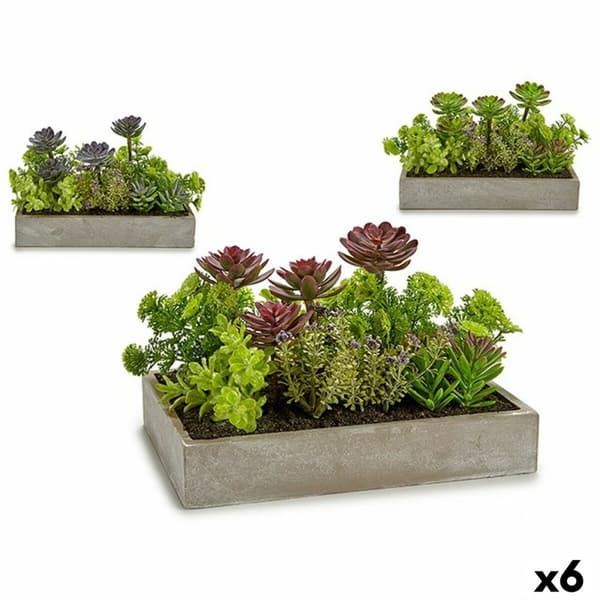 Dekorativ växt Ibergarden XD18-1220 Plast Cement Suckulent 16,5 x 20 x 28,5 cm (6 antal)