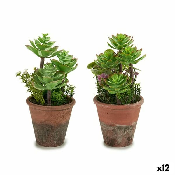 Dekorativ växt Ibergarden XD16-849 Plast Suckulent 16 x 23 x 16 cm (12 antal)